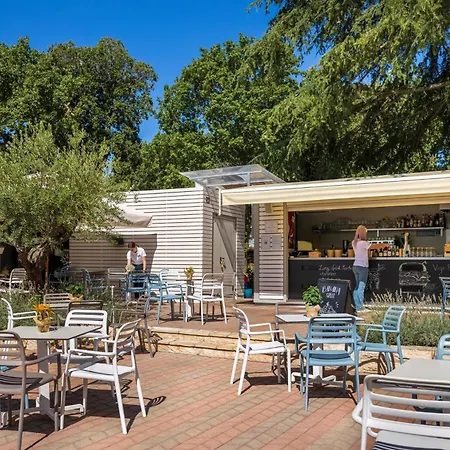 Maistra Valkanela Pitches